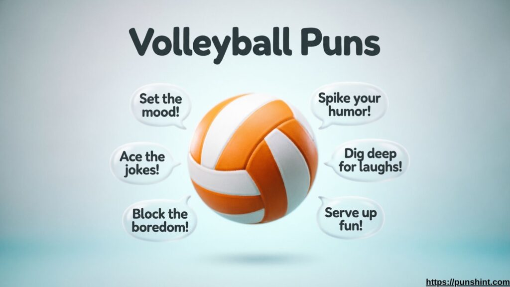 Volleyball Puns